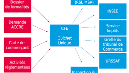 Le CFE (Centre de Formalité des Entreprises)